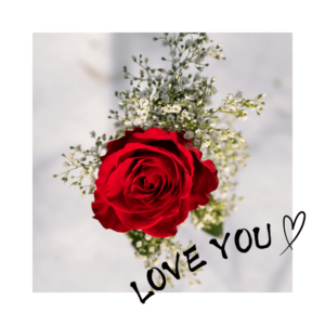 Love you red rose gift card 003
